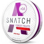 SNATCH Nikotinové sáčky Forest Fruits 16 mg/g 20 sáčků – Hledejceny.cz