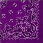 Bandana šátek II B1846 Blingstar fialová grape – Zboží Mobilmania