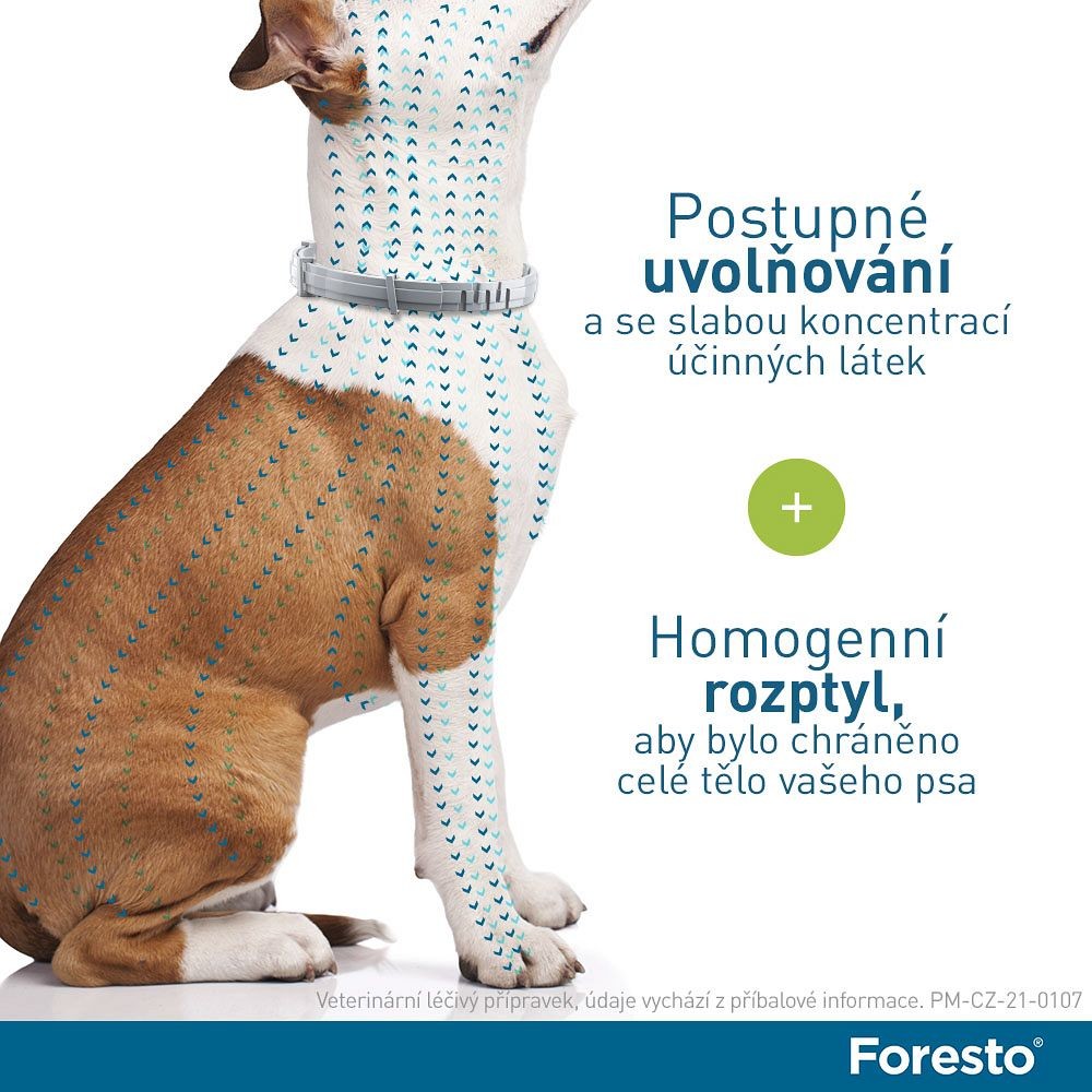 Foresto obojek pro malé psy a kočky do 8 kg 38 cm od 537 Kč - Heureka.cz
