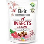 Brit Care Dog Crunchy Cracker Insects with Lamb enriched with Raspberries 200 g – Zboží Dáma