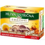 Terezia Company Hlíva ústřičná s Reishi Forte 60 kapslí – Hledejceny.cz
