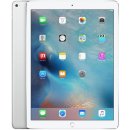 Apple iPad Pro Wi-Fi 128GB ML0Q2FD/A