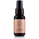 Essens Eucassens 50 ml – Hledejceny.cz