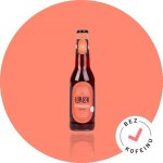 LokLok Kombucha Malina 330 ml – Zboží Dáma