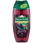 Palmolive Memories of Nature Berry Picking sprchový gel 250 ml – Hledejceny.cz