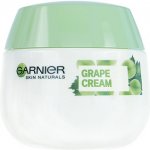 Garnier Skin Naturals Botanical Creme s výtažky z hroznů 50 ml – Zbozi.Blesk.cz