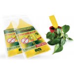 AgroBio PM Lepové šipky žluté FloraBand 5 ks – Zboží Dáma