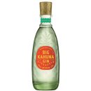 Big Kahuna Pineapple Gin 40% 0,7 l (holá láhev)