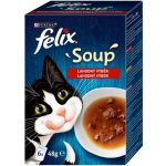 Felix Soup Hovězí, kuře, jehně 6 x 48 g – Hledejceny.cz