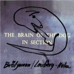 Fred Lonberg - Holm - The Brain Of The Dog In Section Peter Brotzmann – Sleviste.cz