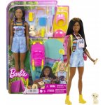 Barbie DHA KEMPUJÍCÍ BROOKLYN – Zboží Dáma