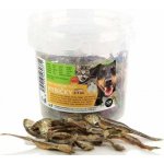 UGF sušené rybičky 500 ml – Hledejceny.cz