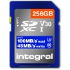 Paměťová karta SDHC UHS-I U3 256 GB INSDX256G1V30