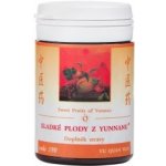 TCM Herbs Sladké plody z Yunnanu 100 tablet – Hledejceny.cz