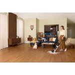 Tineco Floor One Switch i5 Stretch – Zboží Dáma