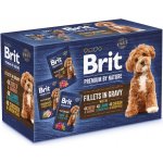 Brit Premium by Nature Adult Dog Fillets in Gravy Multipack 12 x 85 g – Hledejceny.cz