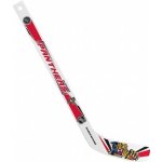 InGlasCo Mini NHL, Florida Panthers – Zboží Mobilmania