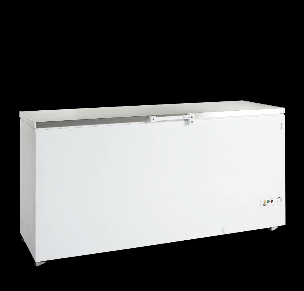 Tefcold FR 605