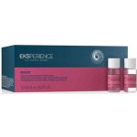 Revlon Eksperience Boost Color Shine Booster 12 x 6 ml – Hledejceny.cz