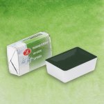 Neva Palette White Nights akvarelové barvy jednotlivé barvy Sap Green – Zboží Dáma