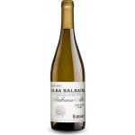Barbadillo Alba Balbaína suché bílé 2022 11,5% 0,75 l (holá láhev) – Hledejceny.cz