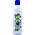 Bohemia Cosmetics koupelová pěna Borůvka 1 l – Zboží Dáma