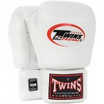 Twins SPECIAL BGVL3 – Zbozi.Blesk.cz