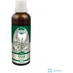 Šišák bajkalský tinktura z pupenů 50 ml – Hledejceny.cz