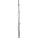 ROY BENSON FL-602E – Sleviste.cz