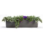 PLASTIA Berberis Samozavlažovací truhlík plast antracit slonová kost 60 x 20 x 20 cm 1909746029 – Hledejceny.cz