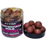 Jet Fish Boosterované Boilies Mystery Jahoda/Moruše 250ml 20mm – Zbozi.Blesk.cz