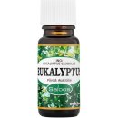 Saloos esenciální olej Eukalyptus Austrálie 10 ml