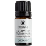 Odylique BIO Éterický olej Eukalypt 10 ml – Hledejceny.cz
