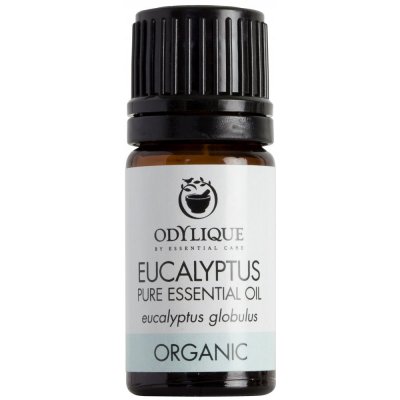 Odylique BIO Éterický olej Eukalypt 10 ml – Hledejceny.cz