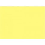 Papír barevný A4 80 g Image Coloraction ZG34 Florida citronová žlutá 100 ks – Zboží Dáma