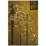 Emos D3AW02 LED nano řetěz měděný teplá bílá 10m – Zboží Dáma