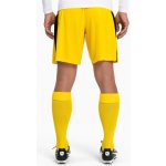 Puma Team LIGA Socks – Zboží Dáma