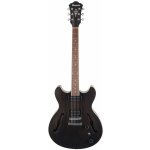 Ibanez AS 53 – Hledejceny.cz
