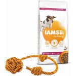 Iams Dog Senior Small & Medium s kuřecím masem 12 kg – Hledejceny.cz