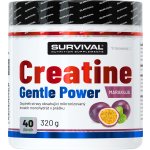 Survival Creatine Monohydrate Gentle Power 320 g – Zbozi.Blesk.cz