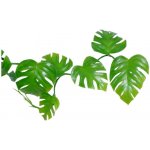 Lucky Reptile Pothos Vine 200 cm – Zbozi.Blesk.cz