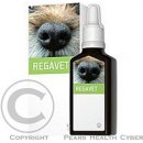 Energy Regavet 30 ml