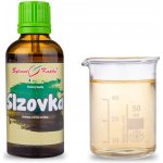 Bylinné kapky Slzovka tinktura Pavlovy bylinné kapky 50 ml – Hledejceny.cz