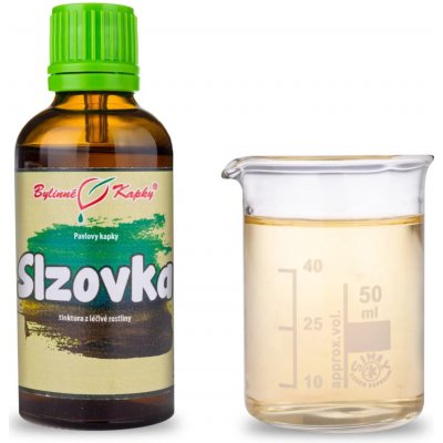 Bylinné kapky Slzovka tinktura Pavlovy bylinné kapky 50 ml – Hledejceny.cz