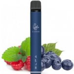 Elf Bar ELFA Pod 500 mAh Blueberry Sour Raspberry – Zboží Mobilmania