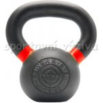 Ariana PowerSystem KETTLEBELL EVO 10kg – Zboží Dáma