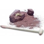 MAC TOYS Kostra dinosaurus fosforeskující – Hledejceny.cz