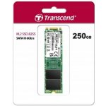Transcend MTS825S 250GB, TS250GMTS825S – Zboží Živě