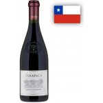 Tarapacá Syrah Gran Reserva 14% 0,75 l (holá láhev) – Hledejceny.cz