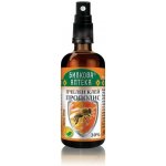 Alin Sprej do krku propolis 50 ml – Hledejceny.cz